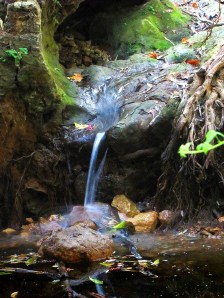 צילם: אלישע דביר, רכז המאבק להצלת נחל בצת