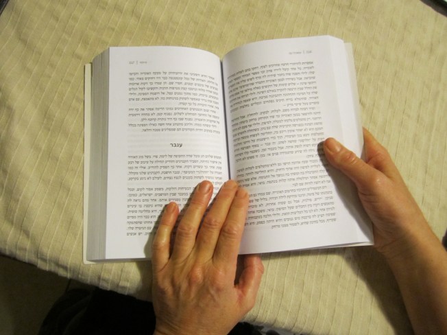 זה ספר זה ספר