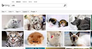 מסך חיפוש תמונה בבינג בישראל. 5 אפשרויות בלבד בסרגל