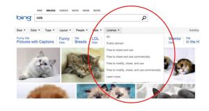 בינג בארצות הברית - 2 אופציות שלא קיימות בישראל, תאריך וסוג רשיון